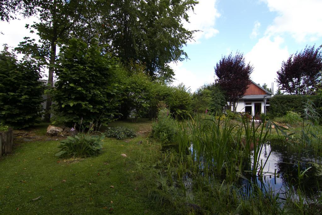 Ferienhaus Wildblick Schleiden Eksteriør billede